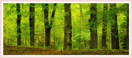 Biofa Portugal, Lda.